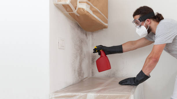 Professional Crawl Space Mold Removal technician working in Niles, IL